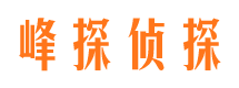 郏县峰探私家侦探公司